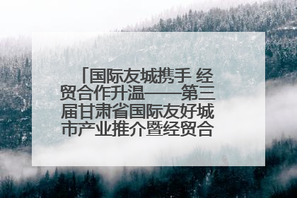 国际友城携手 经贸合作升温——第三届甘肃省国际友好城市产业推介暨经贸合作对接活动特写