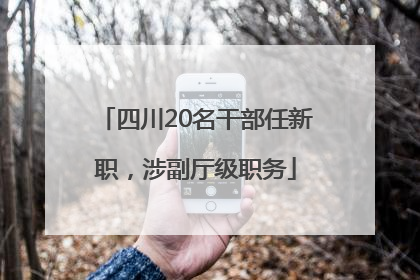 四川20名干部任新职，涉副厅级职务