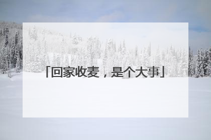 回家收麦，是个大事