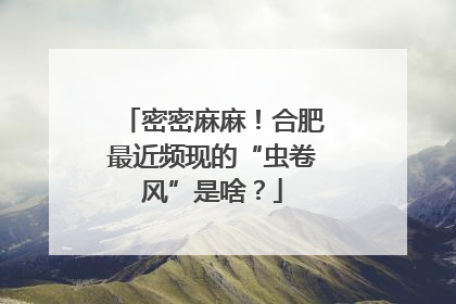 密密麻麻！合肥最近频现的“虫卷风”是啥？