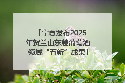 宁夏发布2025年贺兰山东麓葡萄酒领域“五新”成果