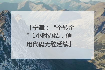 宁津：“个转企”1小时办结，信用代码无缝延续