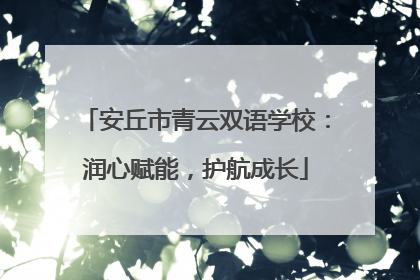 安丘市青云双语学校：润心赋能，护航成长
