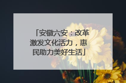 安徽六安：改革激发文化活力，惠民助力美好生活