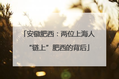 安徽肥西：两位上海人“链上”肥西的背后
