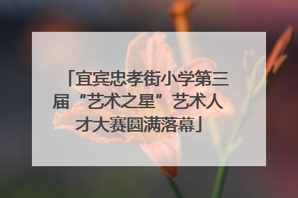 宜宾忠孝街小学第三届“艺术之星”艺术人才大赛圆满落幕