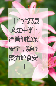 宜宾高县文江中学：严管细控保安全，凝心聚力护食安