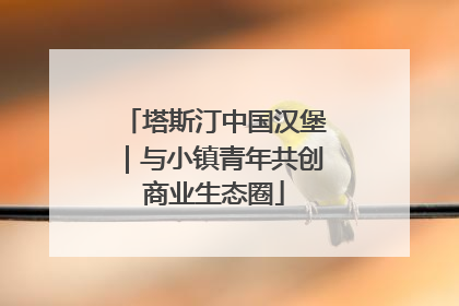 塔斯汀中国汉堡｜与小镇青年共创商业生态圈