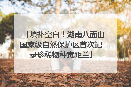 填补空白！湖南八面山国家级自然保护区首次记录珍稀物种宽距兰