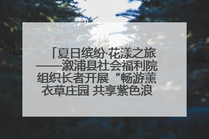 夏日缤纷·花漾之旅——溆浦县社会福利院组织长者开展“畅游薰衣草庄园 共享紫色浪漫”户外活动