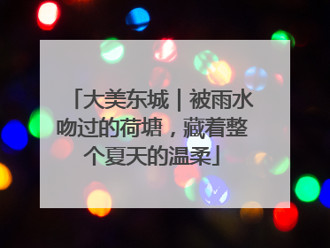 大美东城｜被雨水吻过的荷塘，藏着整个夏天的温柔
