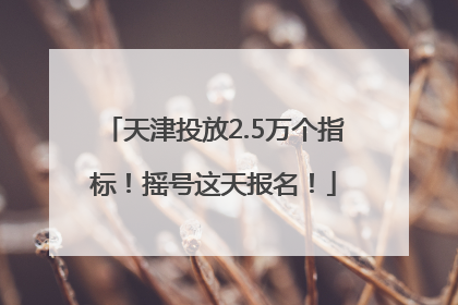 天津投放2.5万个指标！摇号这天报名！