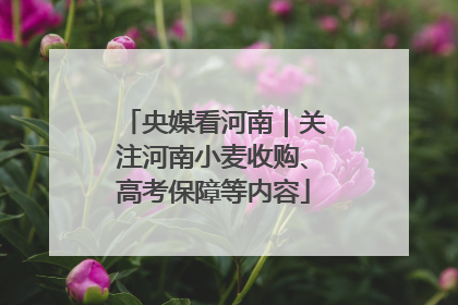 央媒看河南｜关注河南小麦收购、高考保障等内容