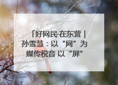 好网民·在东营｜孙雪慧：以“网”为媒传税音 以“屏”为介助发展