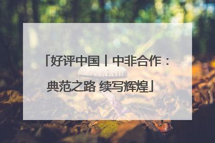 好评中国丨中非合作：典范之路 续写辉煌