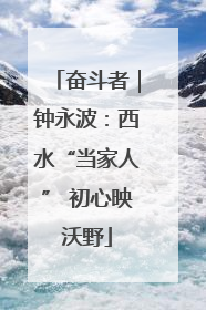 奋斗者｜钟永波：西水“当家人” 初心映沃野