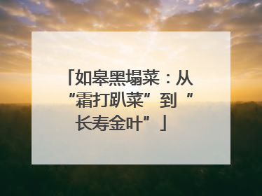 如皋黑塌菜：从“霜打趴菜”到“长寿金叶”