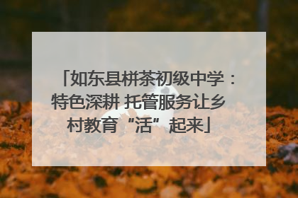 如东县栟茶初级中学：特色深耕 托管服务让乡村教育“活”起来