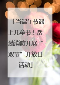 当端午节遇上儿童节！岳麓消防开展“双节”开放日活动