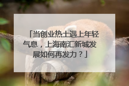 当创业热土遇上年轻气息，上海南汇新城发展如何再发力？