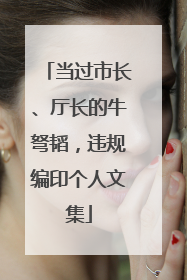 当过市长、厅长的牛弩韬，违规编印个人文集