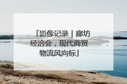 影像记录｜廊坊经洽会，现代商贸物流风向标
