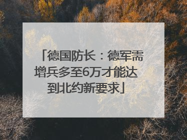德国防长：德军需增兵多至6万才能达到北约新要求