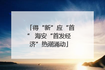得“新”应“首” 海安“首发经济”热潮涌动