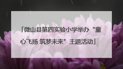 微山县第四实验小学举办“童心飞扬 筑梦未来”主题活动