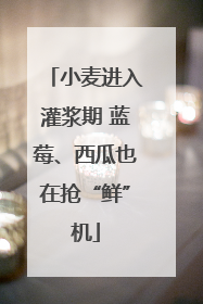 小麦进入灌浆期 蓝莓、西瓜也在抢“鲜”机