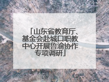 山东省教育厅、基金会赴城口职教中心开展鲁渝协作专项调研