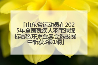 山东省运动员在2025年全国残疾人羽毛球锦标赛暨东京聋奥会选拔赛中斩获3银1铜