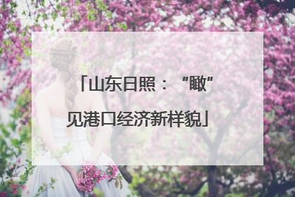 山东日照：“瞰”见港口经济新样貌