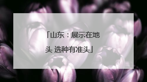 山东：展示在地头 选种有准头