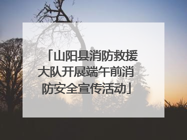山阳县消防救援大队开展端午前消防安全宣传活动