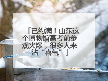 已约满！山东这个博物馆高考前参观火爆，很多人来沾“喜气”