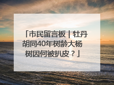 市民留言板｜牡丹胡同40年树龄大杨树因何被扒皮？