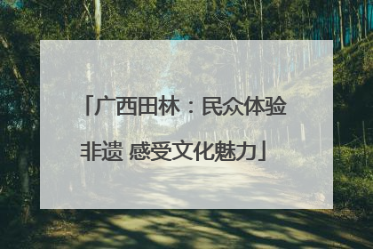广西田林：民众体验非遗 感受文化魅力