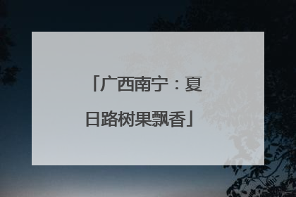 广西南宁：夏日路树果飘香