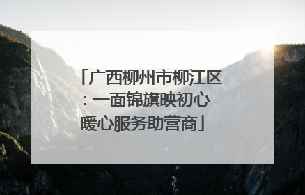 广西柳州市柳江区：一面锦旗映初心 暖心服务助营商