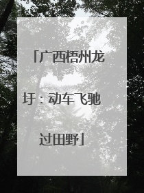 广西梧州龙圩：动车飞驰过田野