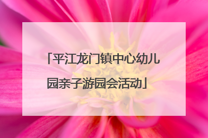 平江龙门镇中心幼儿园亲子游园会活动
