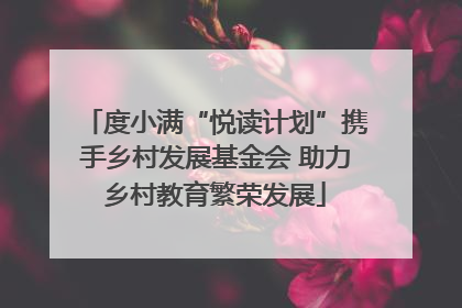 度小满“悦读计划”携手乡村发展基金会 助力乡村教育繁荣发展