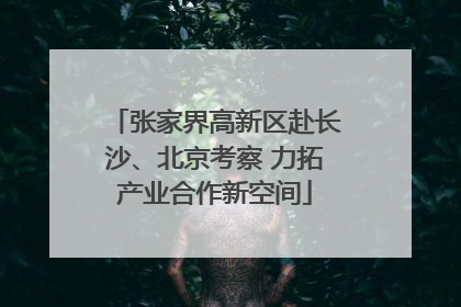 张家界高新区赴长沙、北京考察 力拓产业合作新空间