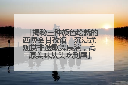 揭秘三种颜色绘就的西博会甘孜馆：沉浸式观赏非遗歌舞展演，高原美味从头吃到尾