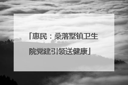 惠民：桑落墅镇卫生院党建引领送健康