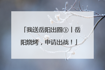 我送岳阳出圈③丨岳阳烧烤，申请出战！