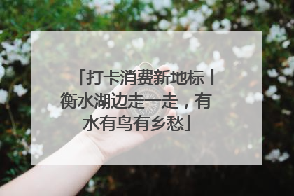 打卡消费新地标丨衡水湖边走一走，有水有鸟有乡愁