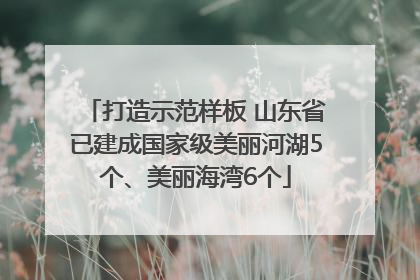 打造示范样板 山东省已建成国家级美丽河湖5个、美丽海湾6个