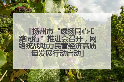 扬州市“绿扬同心·E路同行”推进会召开，网络统战助力民营经济高质量发展行动启动